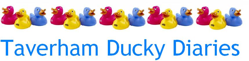Taverham Ducky Diaries