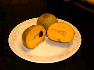 CULTIVOS ANTIGUOS POUTERIA LUCUMA