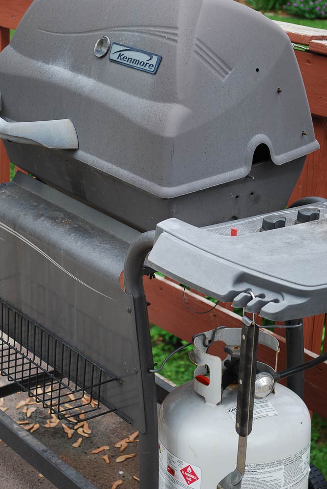 COOKING TIPS FOR GAS GRILLS COOKING TECHNIQUES FOR A GAS GRILLS