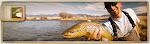 Let's Go Fishing