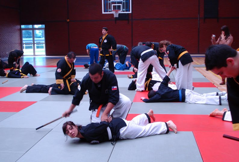 Hapkido Fotos del Seminario en la Escuela de Investigaciones