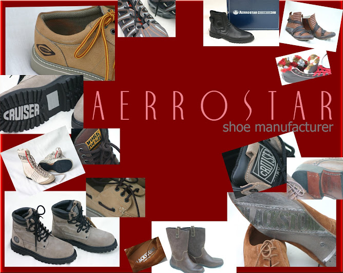 Aerrostar Indonesia Products