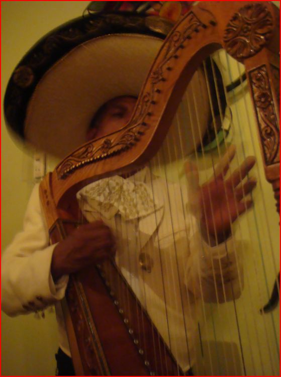 Råsundaliv Cancún, Mexiko Råsundaliv Cancún, Mexiko
