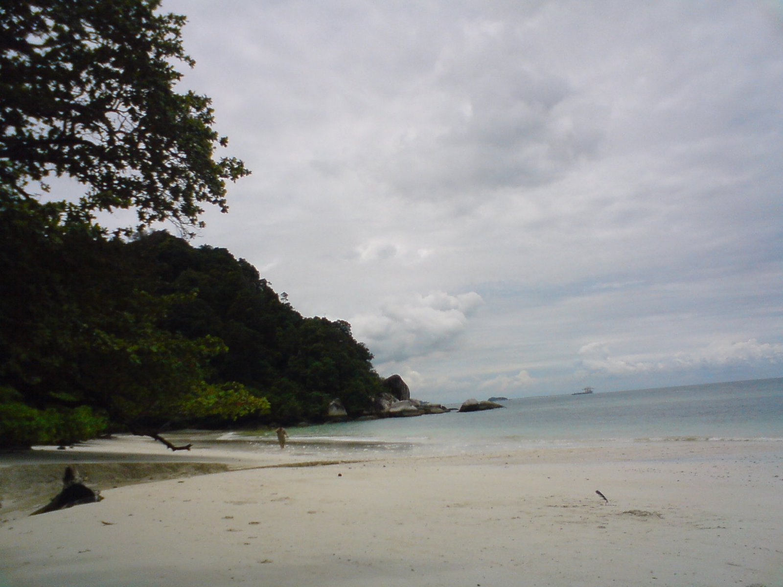 [DSC00592.JPG]