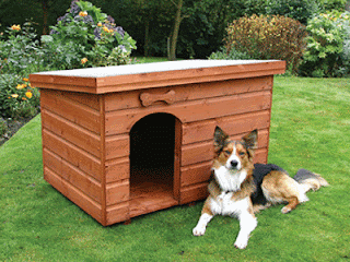 dog kennels ideas
