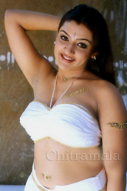 Actress Aarthi Agarwal Navel Show Photos