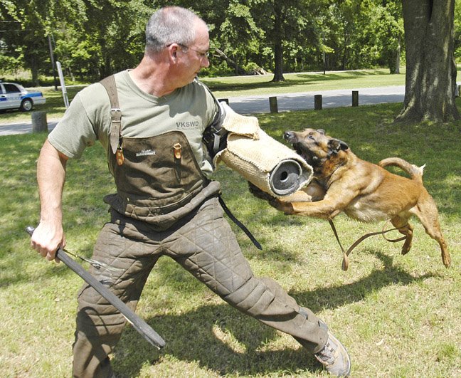 [kaninetraining.JPG]