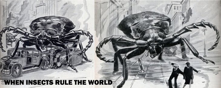 When Insects Rule the World