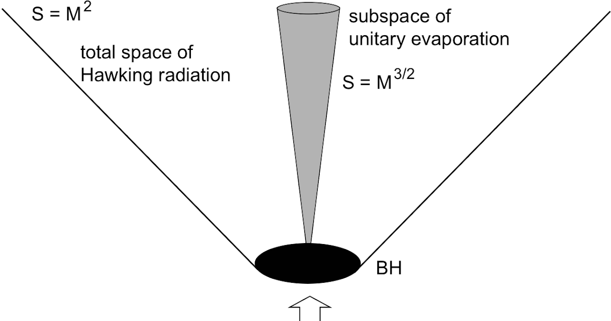 black hole entropy black hole entropy