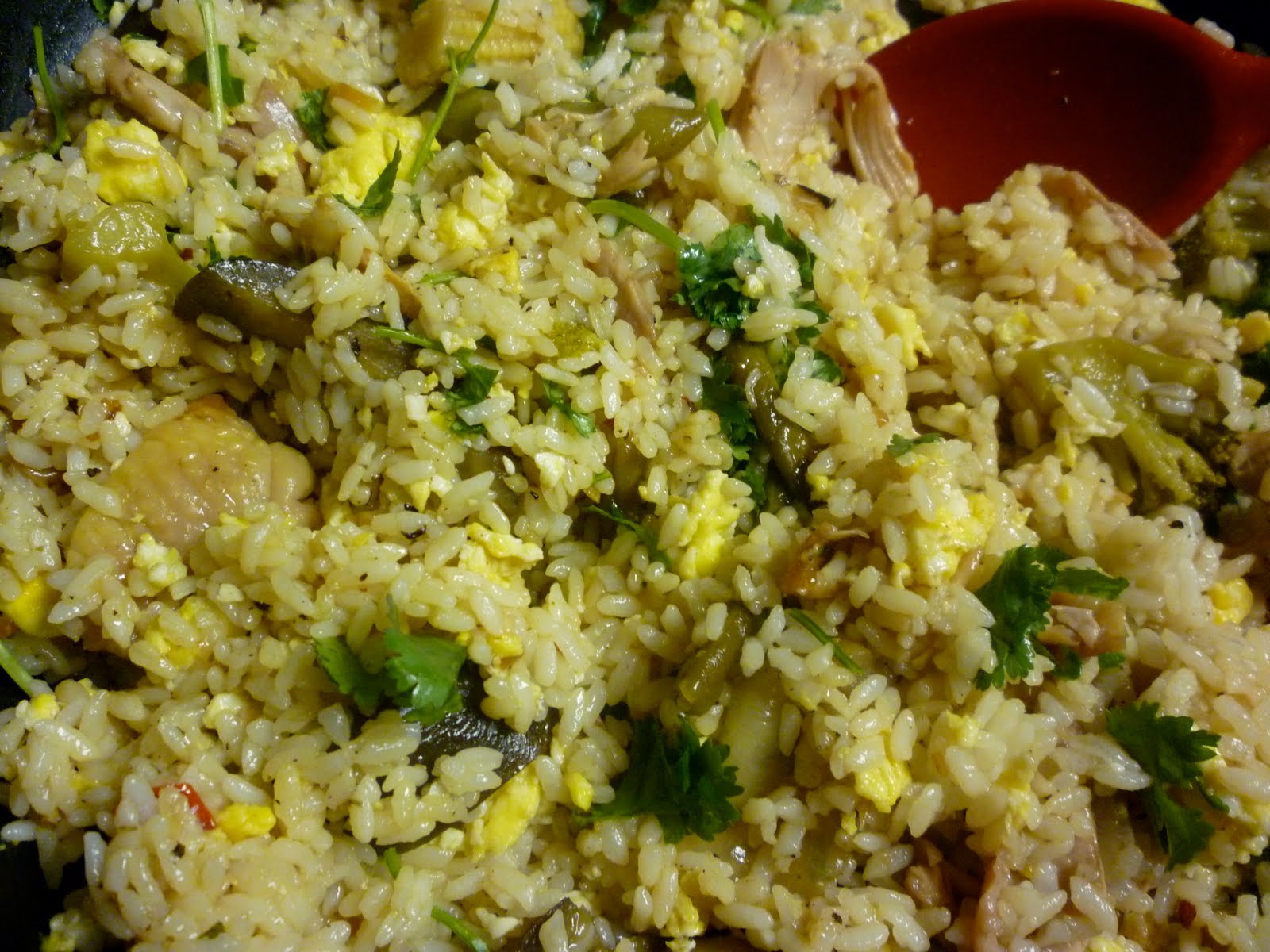 Classy Eats Eggplant, chicken and vegetable fried rice.