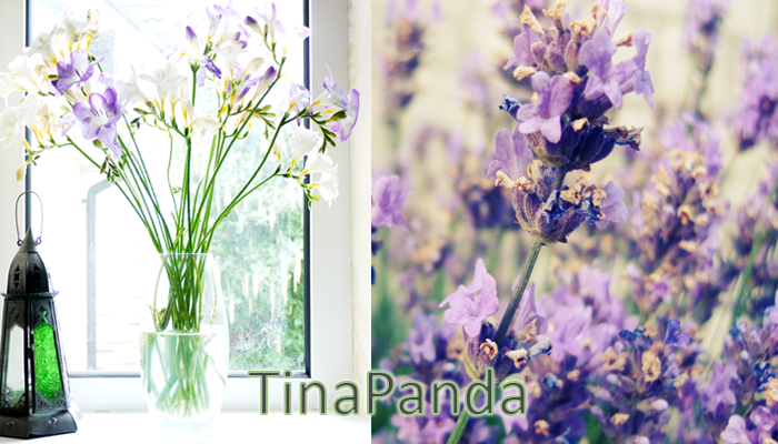 Tina's Beauty Blog