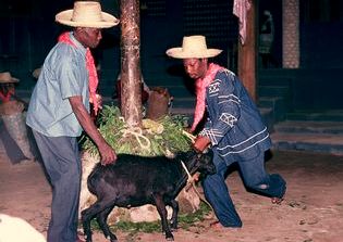 [HAITI_vudu_cabra.JPG]