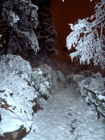 [nevada_parque.JPG]