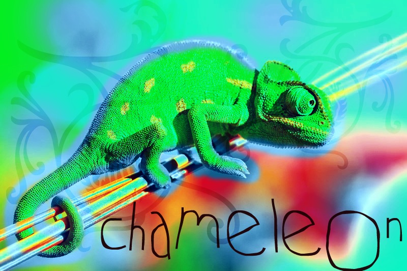 Chameleon