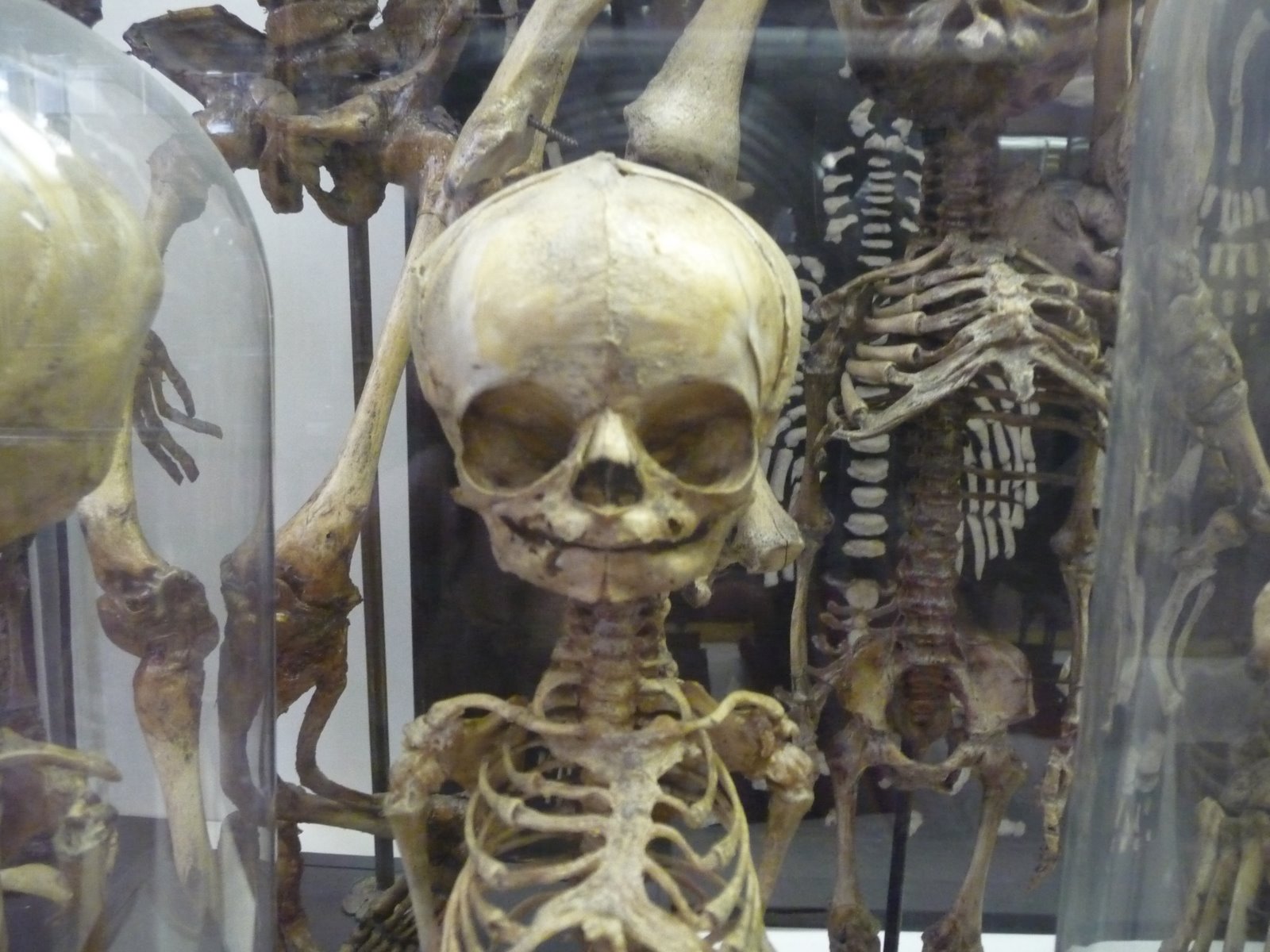 [P1010912.JPG]