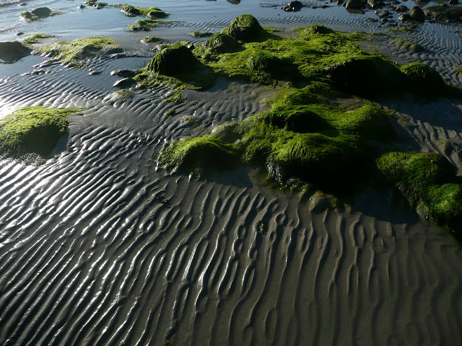 LA PLAGE