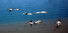 Laut Mati  - The Dead Sea