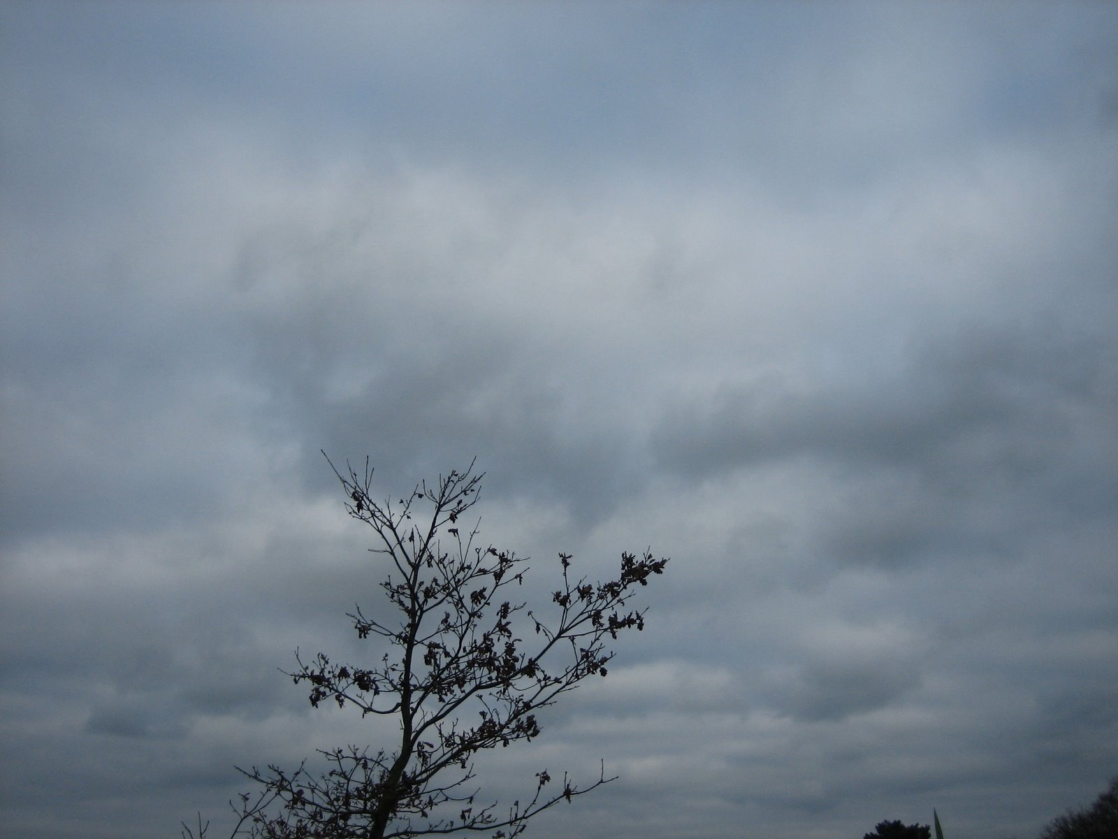 [IMG_1446.JPG]