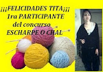 CONCURSO ECHARPE O CHAL 2008