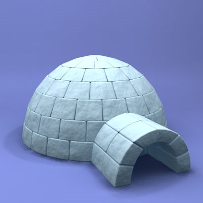 [Igloo.jpg]