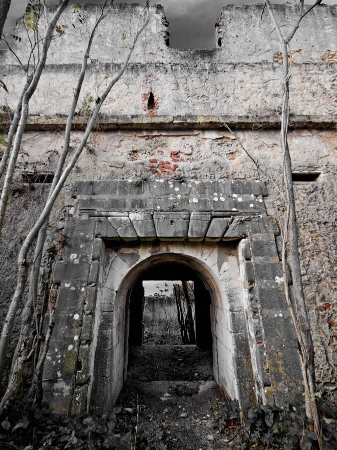 [Ruin'Art-499.jpg]