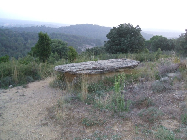 [DSCF1209.JPG]