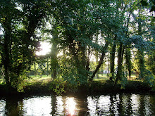 reflets du soir...