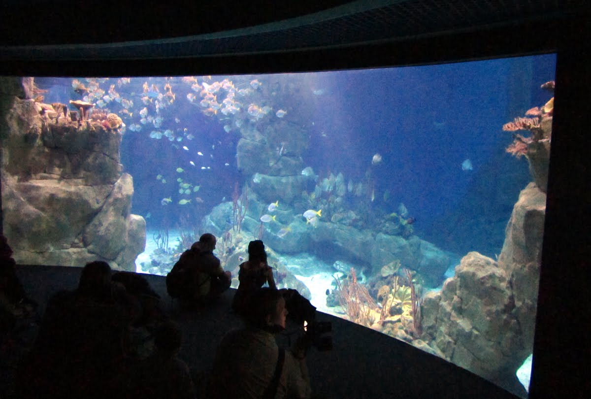 For My Family Plymouth, UK