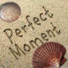 perfect moments photography