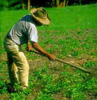 PROFESIONES Y OFICIOS