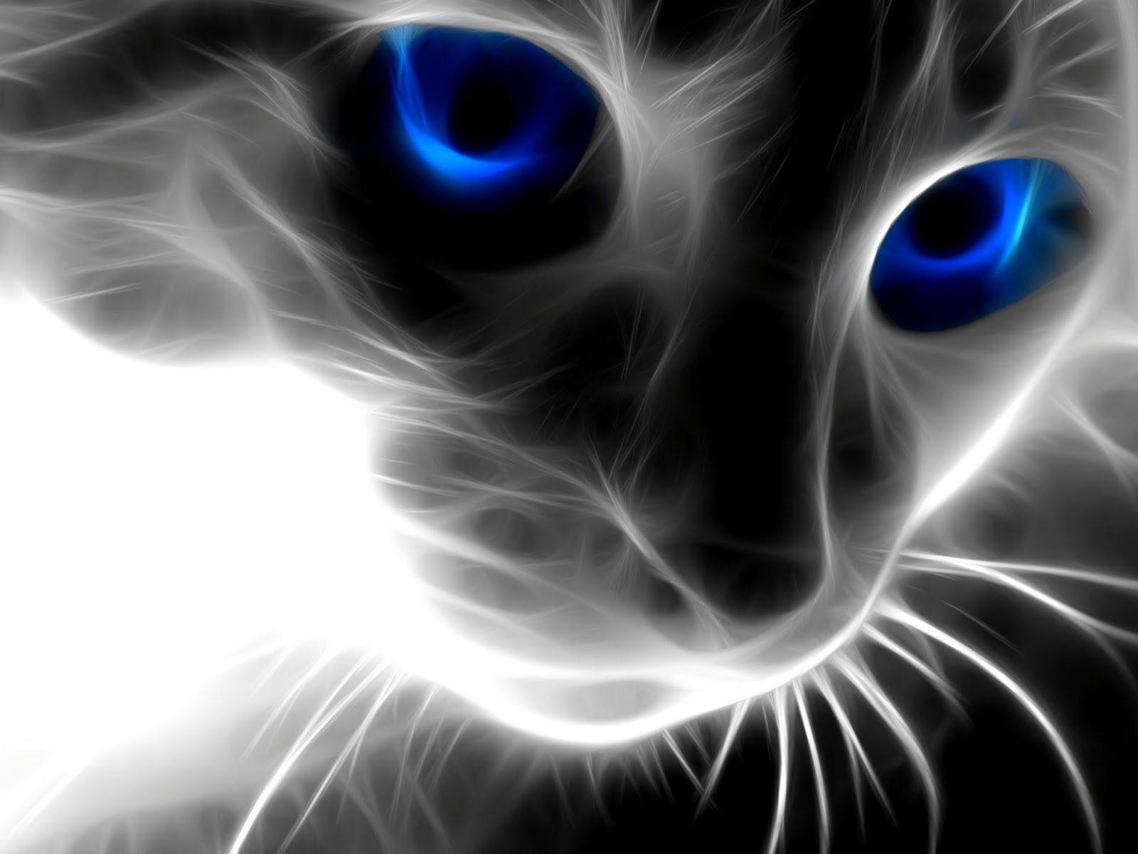 Featured image of post Cool Desktop Backgrounds Animals - Shiny shiny by palnk on deviantart.
