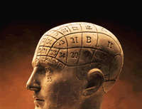 [brain.gif]