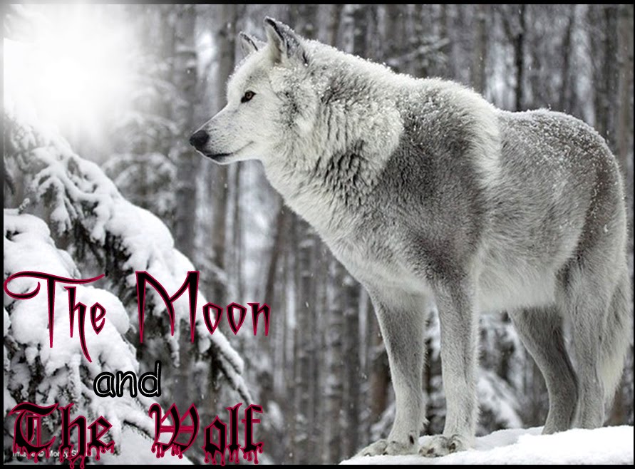 The Moon and The Wolf