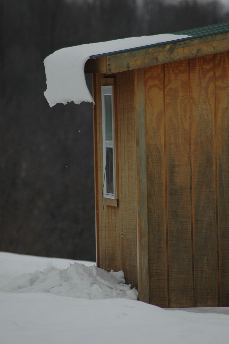 [guinea+coop+snow+curtain+11710.jpg]