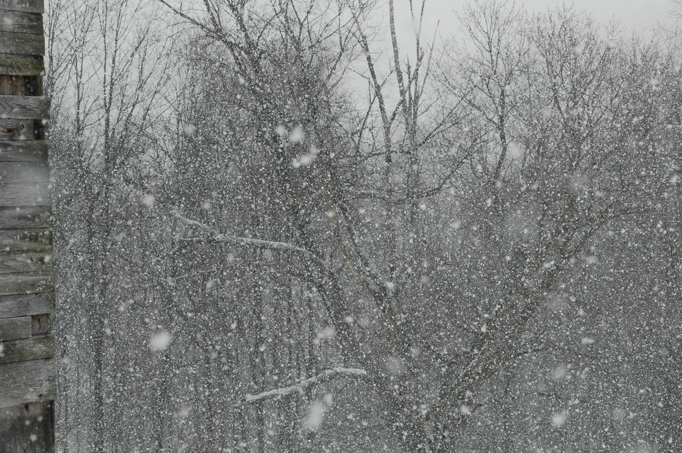 [snow+at+old+barn+13010.jpg]