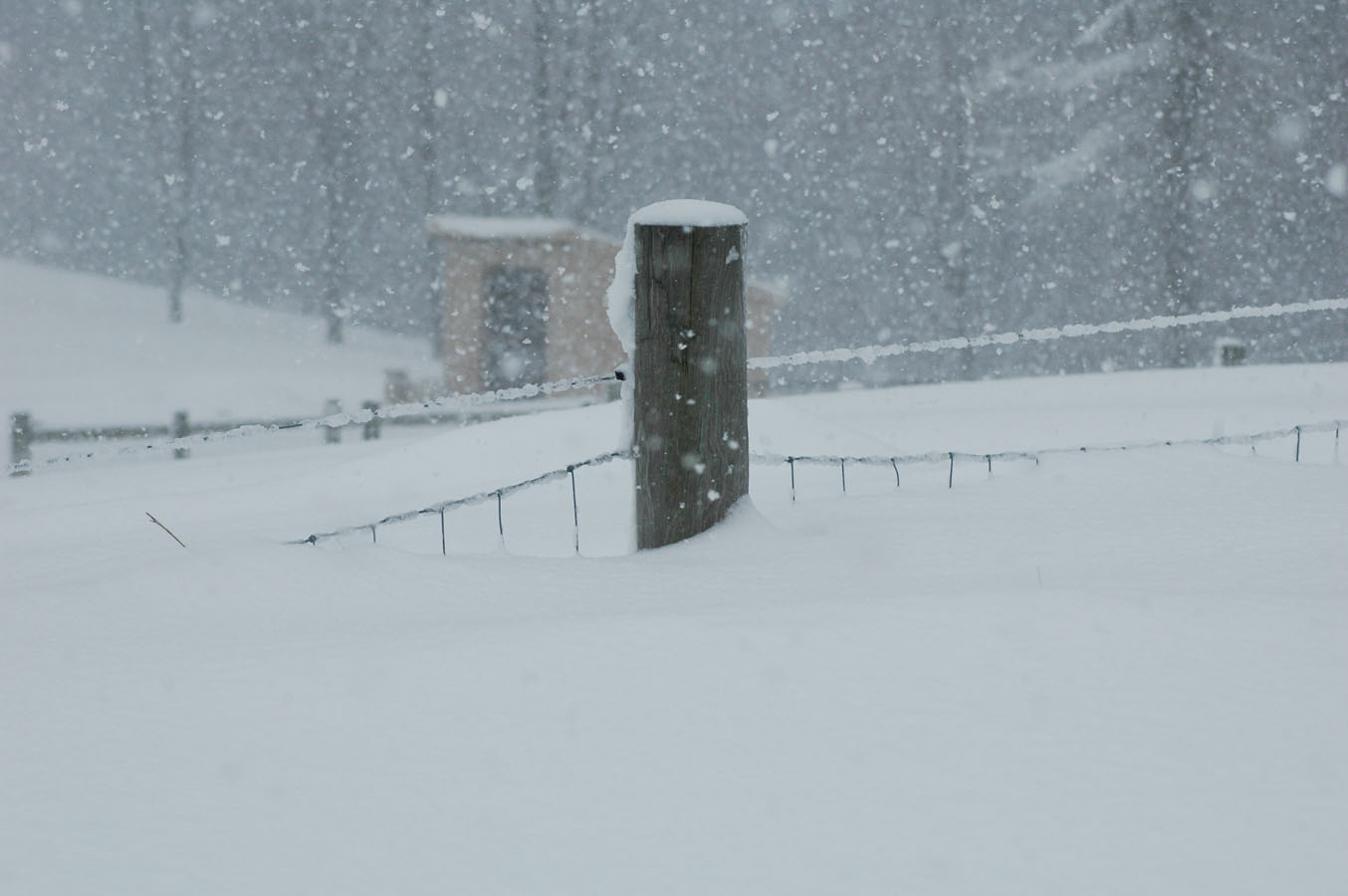 [perimeter+fencing+b+21410.jpg]