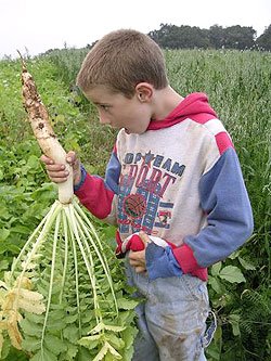[David-with-radish.jpg]