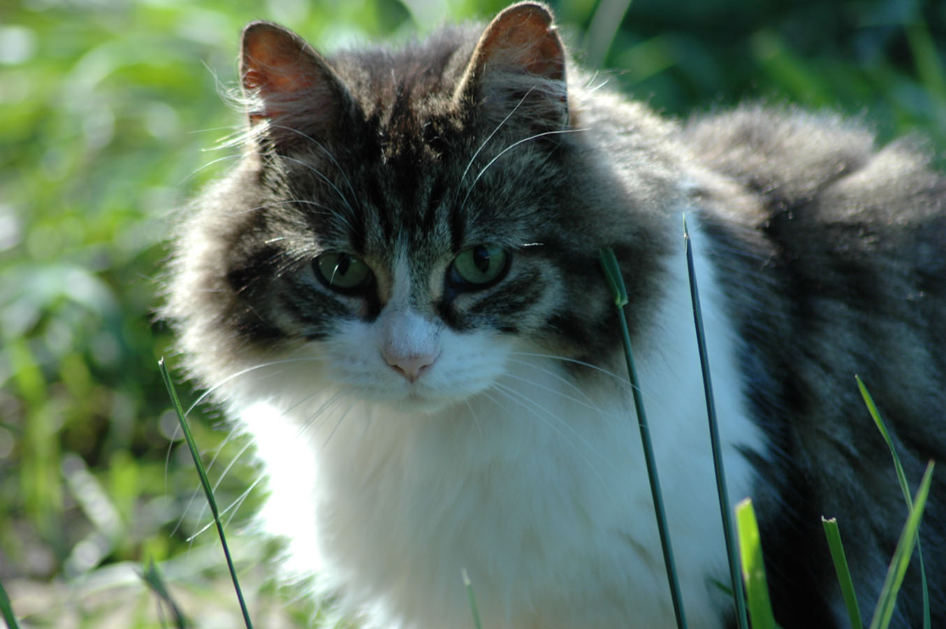 [muffy+81709.jpg]