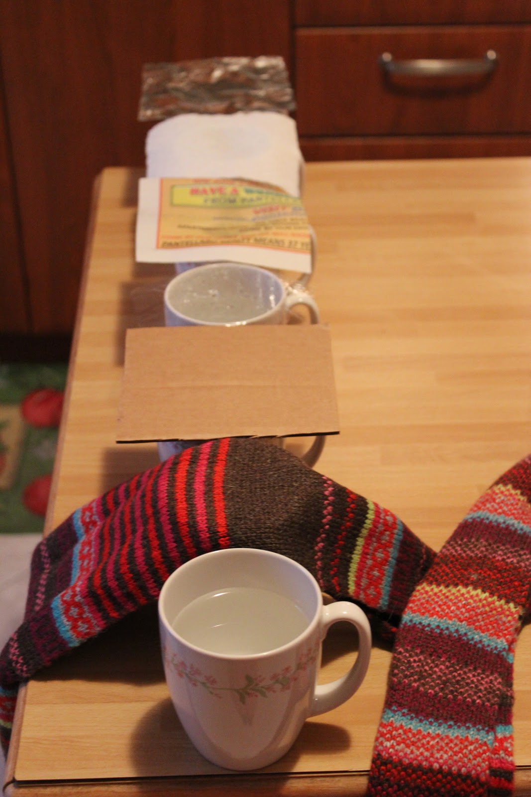 The Science Experience Unusal Results Insulator Experiment