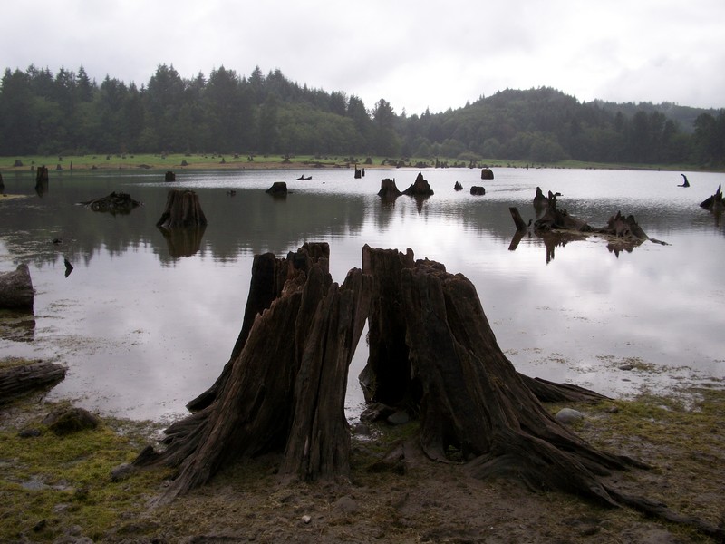 [20090822+Alder+Lake_022.jpg]