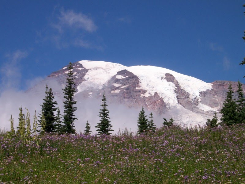 [20090822b+Mount+Rainier_002.jpg]