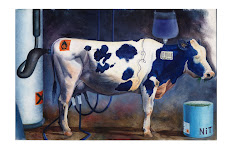 ... di Corrado Caimmi