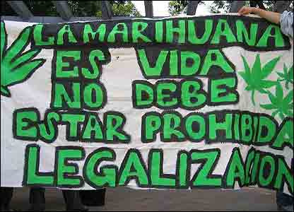 Legalizacion De La Marihuana