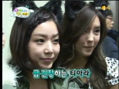 [vlcsnap-2010-01-28-13h35m19s163.png]