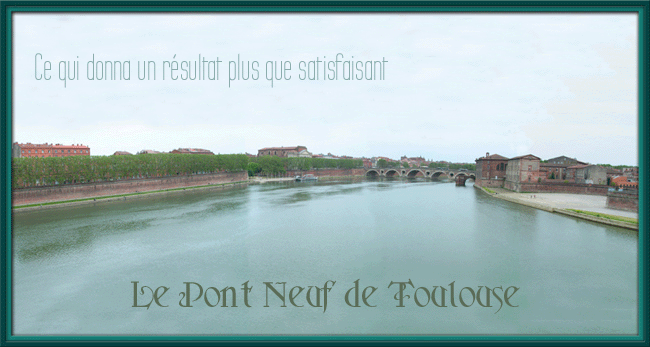 Panorama du Pont Neuf de Toulouse