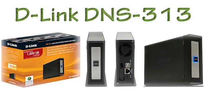 D-Link DNS-313