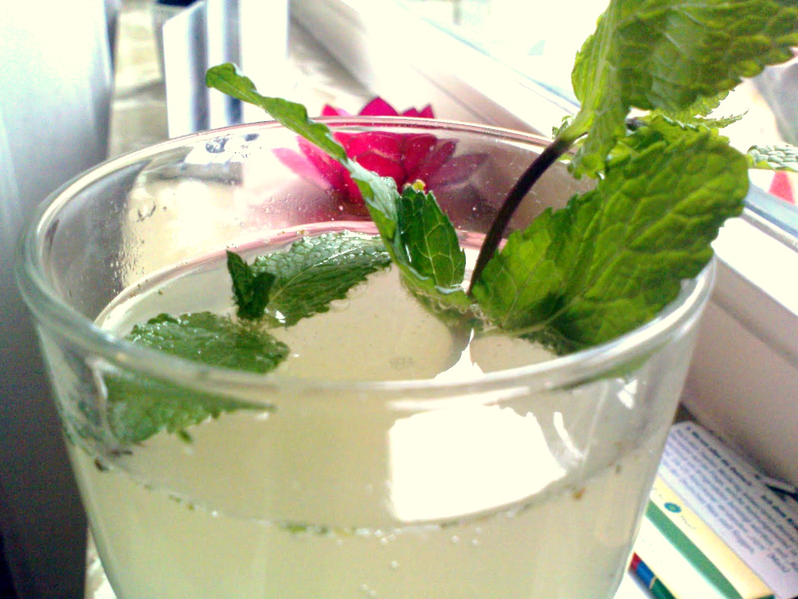 Limetten-Minz-Limonade