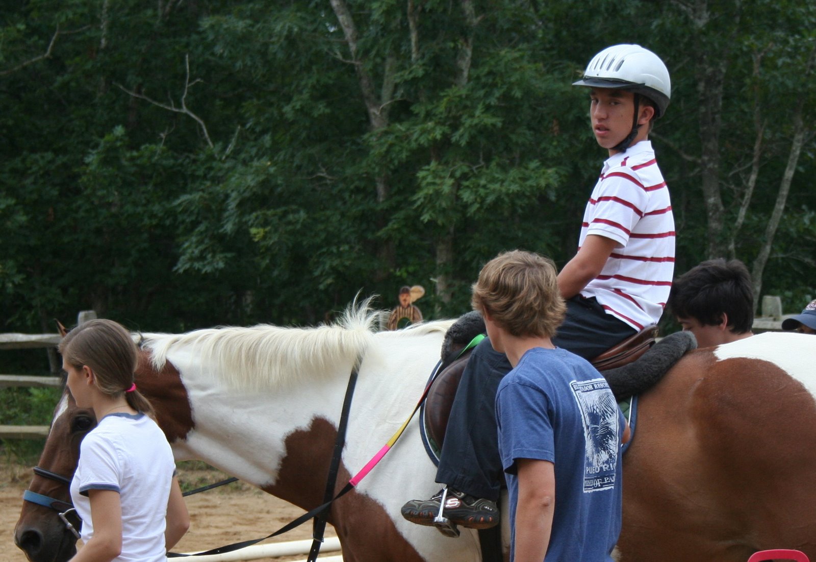 [horse-nick.JPG]