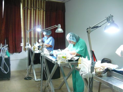 [P1070014.jpg]