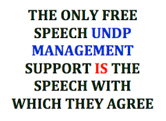 UNDP's Free Speech Concept